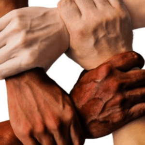 Understanding different perspectives.